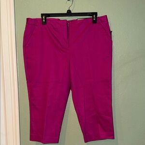 Vibrant Magenta Worthington crop NWT $36 Pants